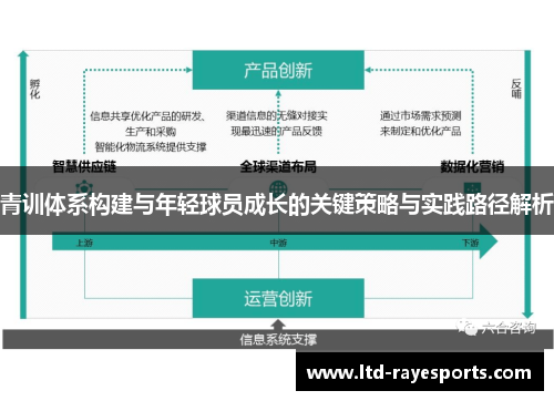 青训体系构建与年轻球员成长的关键策略与实践路径解析